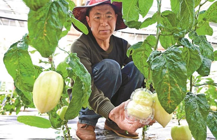 PG试玩