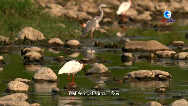 11.jpg PG试玩